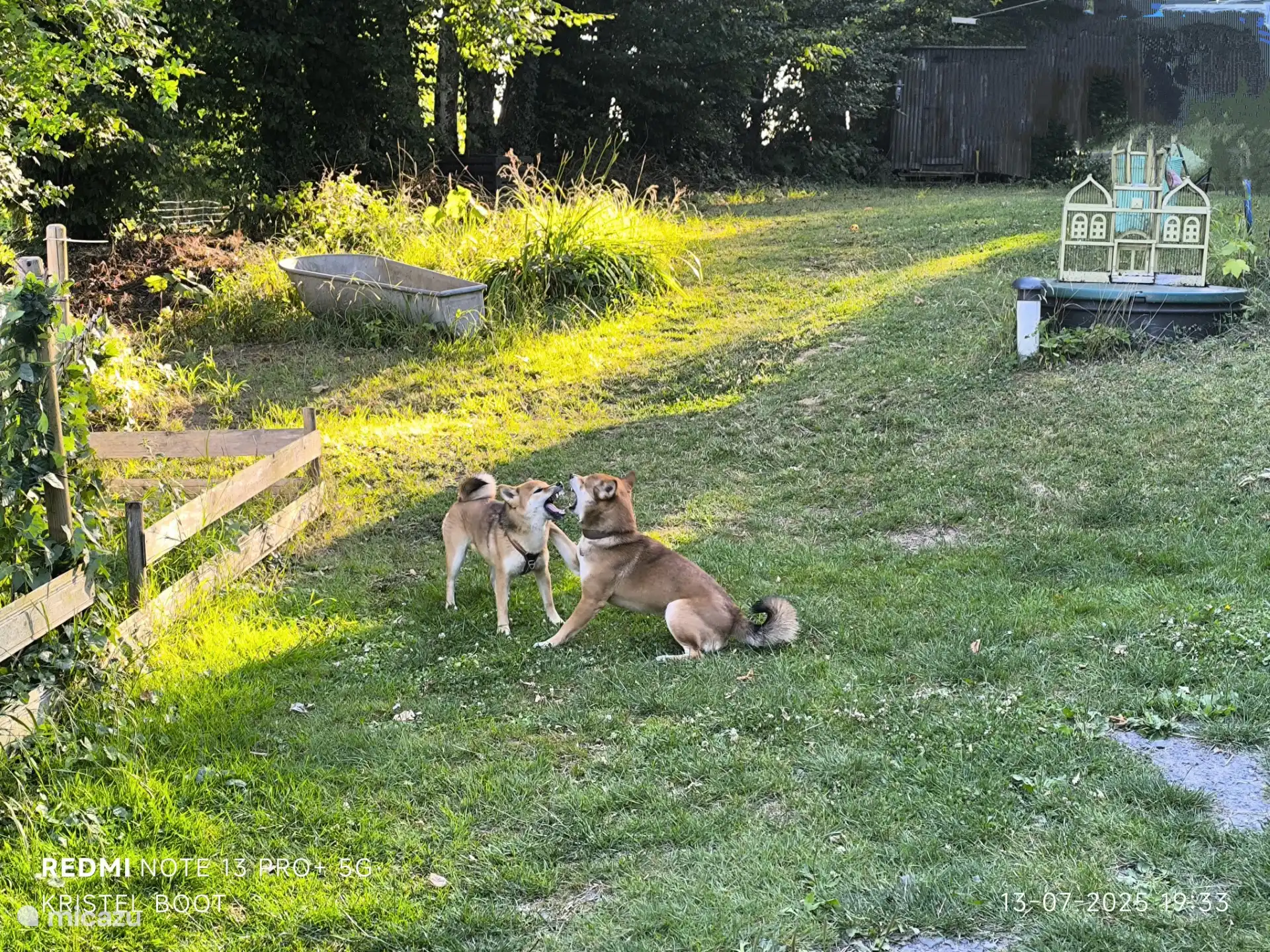 honden zijn welkom in de geheel omheinde tuin