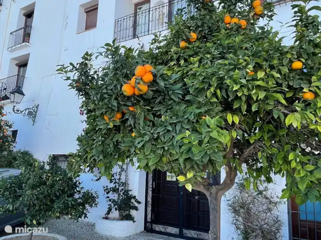 Casa José | Espagne, Costa Blanca, Altea - appartement Beau centre-ville