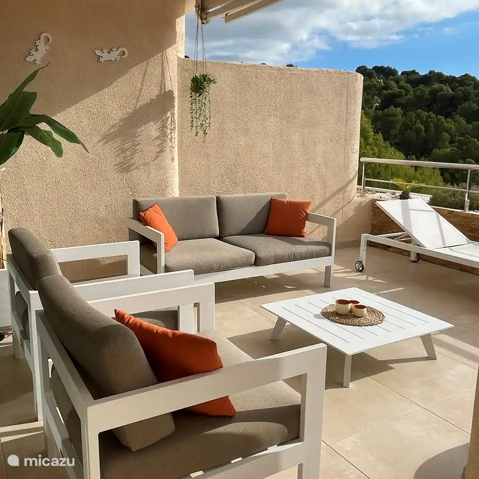 terrasse très spacieuse exposée sud