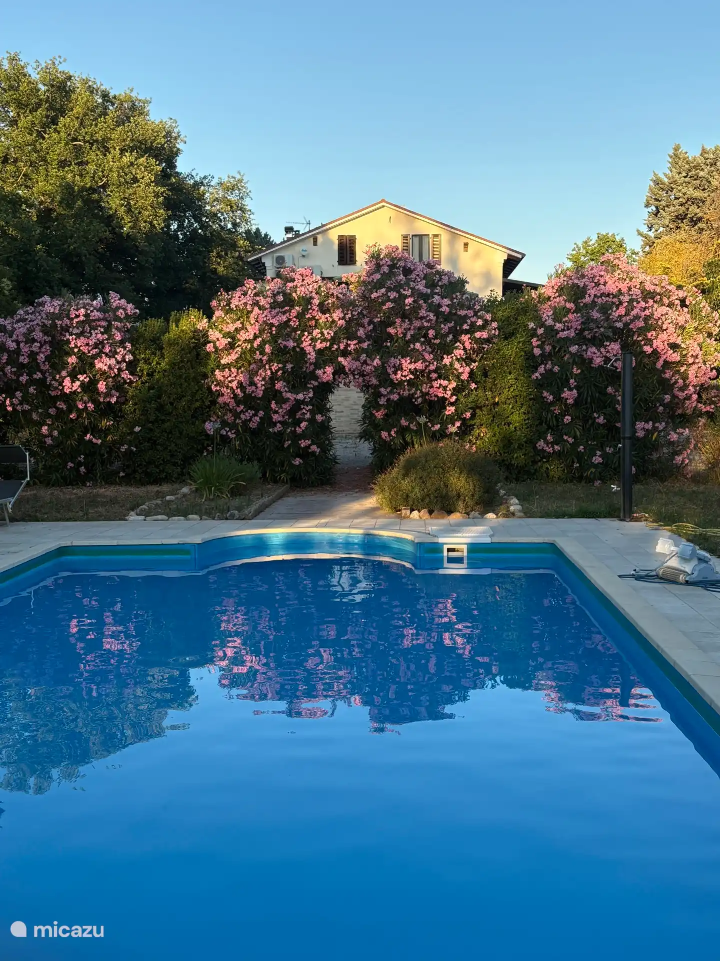 Viele Blumen am Pool