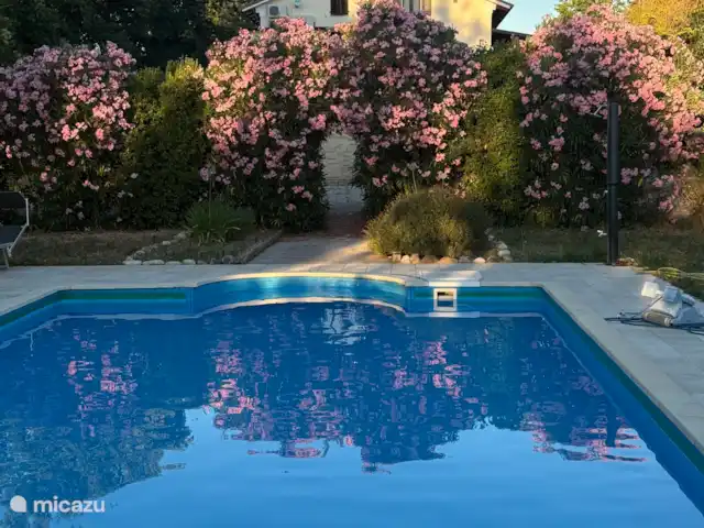 Maison de campagne Les Marches | Italie, Marche, Torre San Patrizio - maison de vacances Beaucoup de fleurs au bord de la piscine