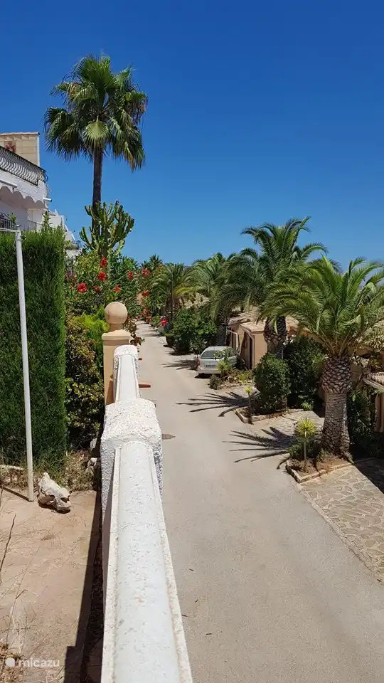 Die ruhige Gasse des Montana Parks im hinteren Teil von La Trufa.