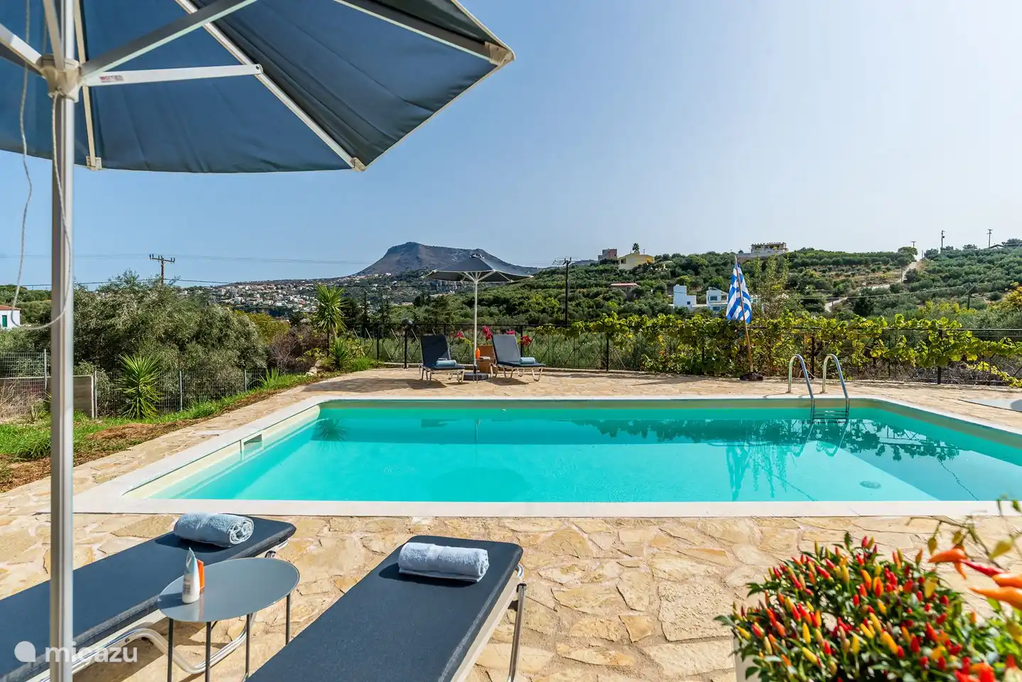 Piscine avec vue sur la montagne