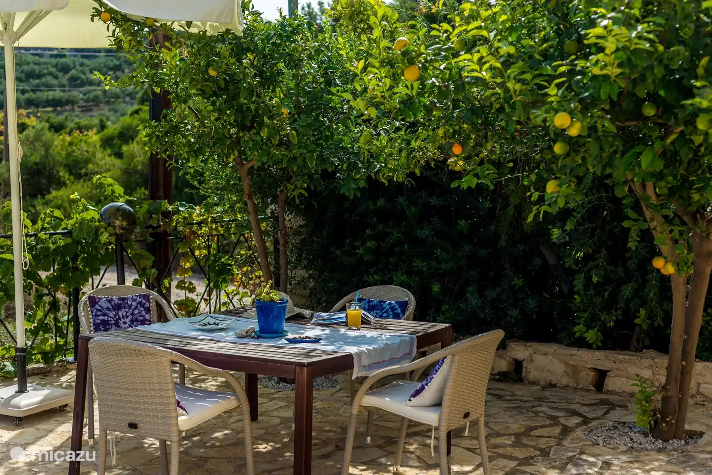 Siège sous les agrumes