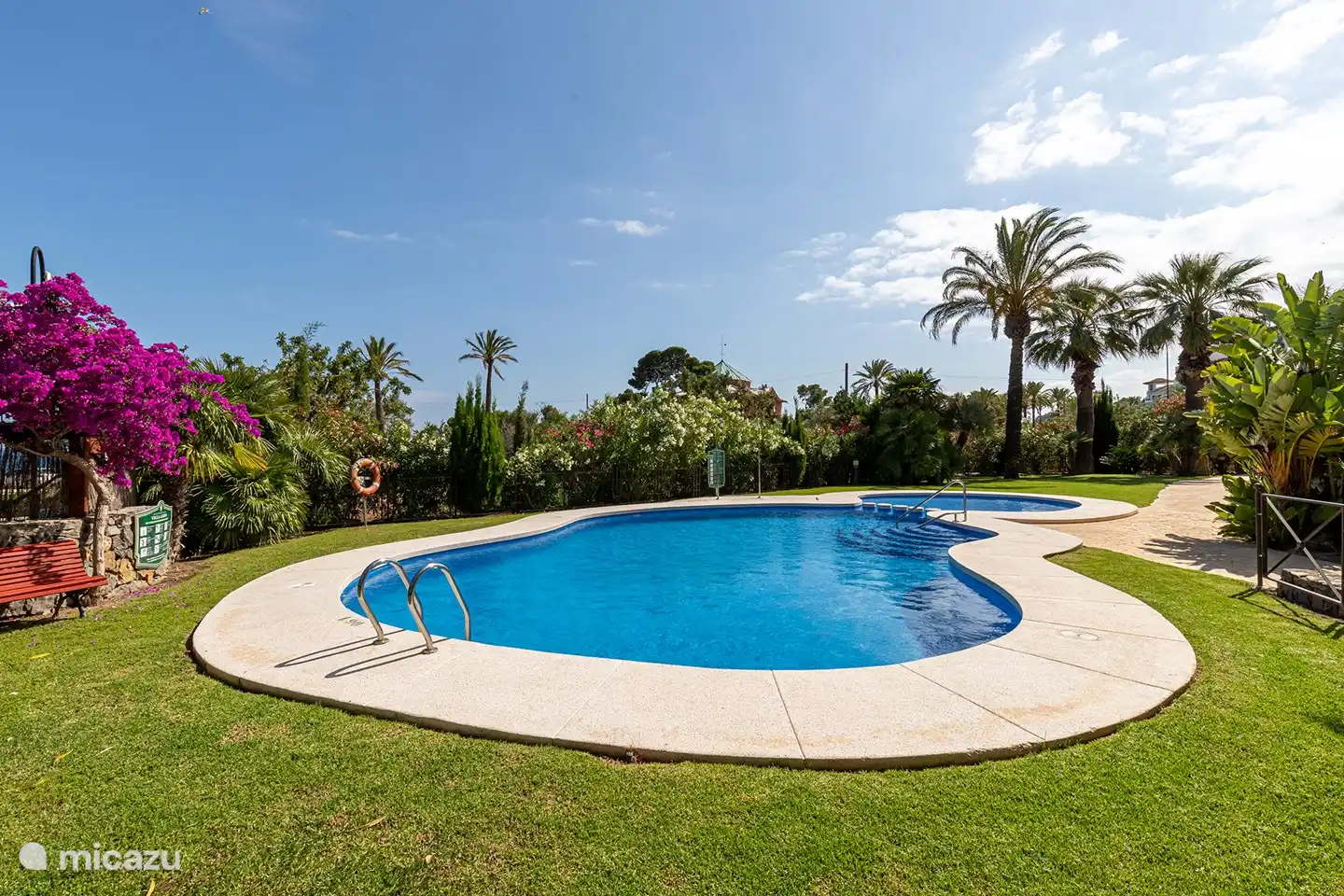 Schwimmbad mit Garten