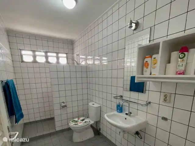 Villa Lora Julianadorp privé-zwembad huren in Curaçao, Curacao-Midden, Julianadorp - villa De tweede badkamer is ook groot.