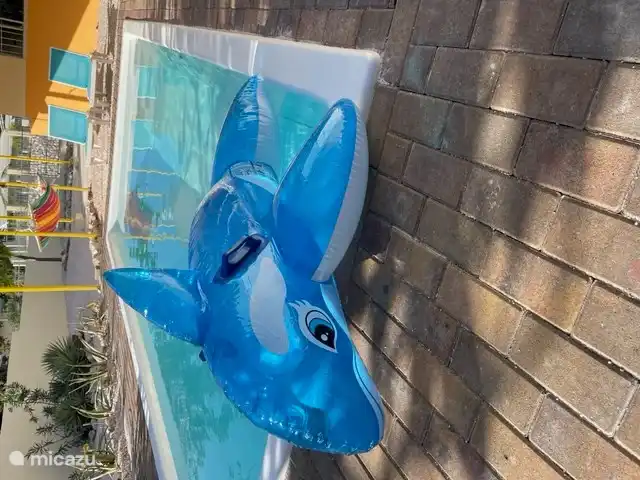 Quel plaisir aquatique pour les enfants ! Il y a des jouets pour les plus petits.