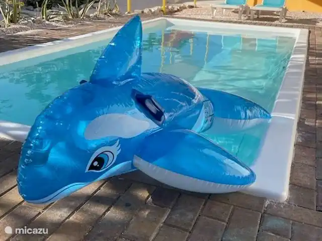 Villa Lora Julianadorp privé-zwembad huren in Curaçao, Curacao-Midden, Julianadorp - villa Wat een waterpret voor kids! Er is speelgoed voor de kleineren.