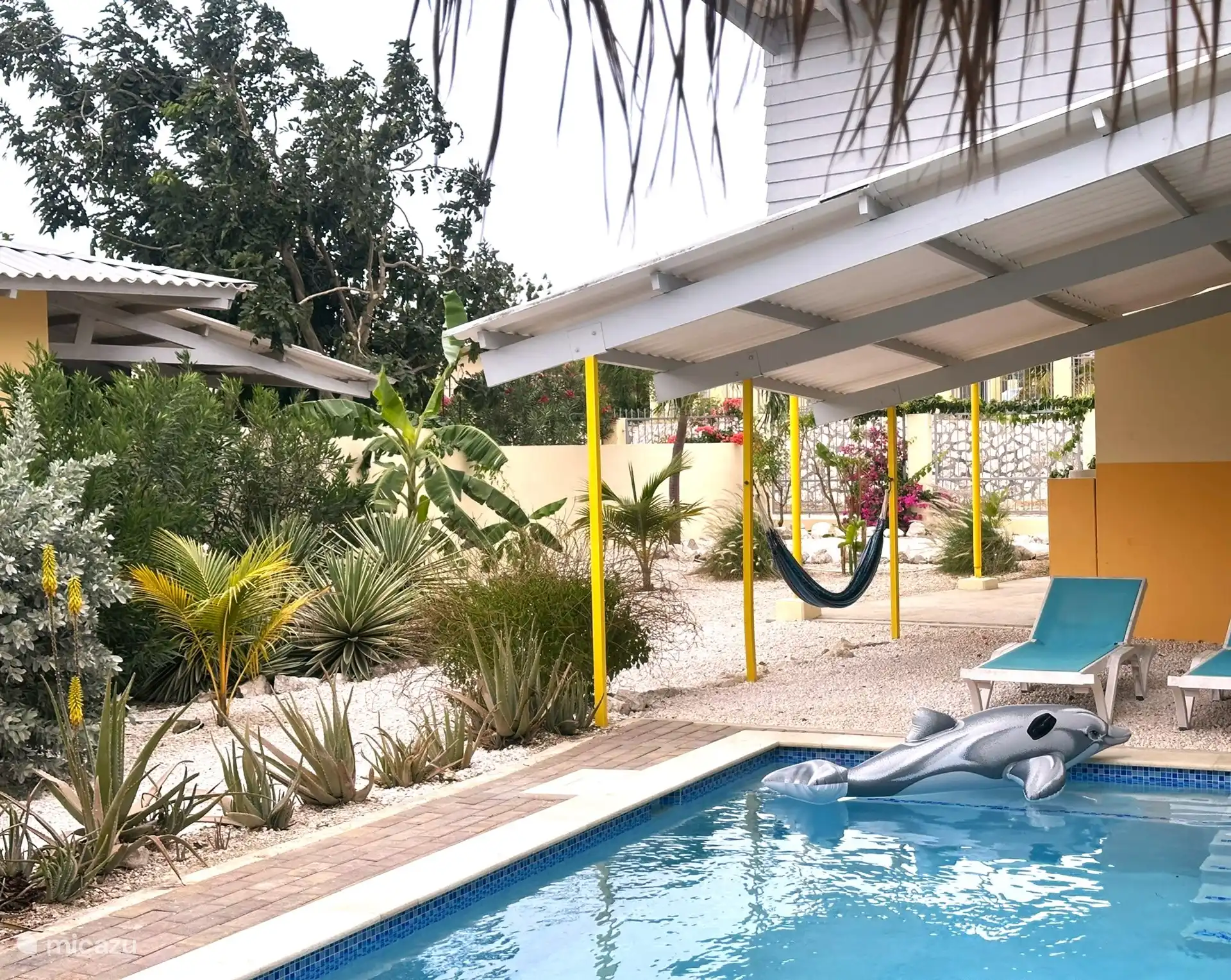 Dans le jardin, vous trouverez de nombreuses plantes tropicales. Le jardin s’embellit chaque année. Il y a même des bananes !