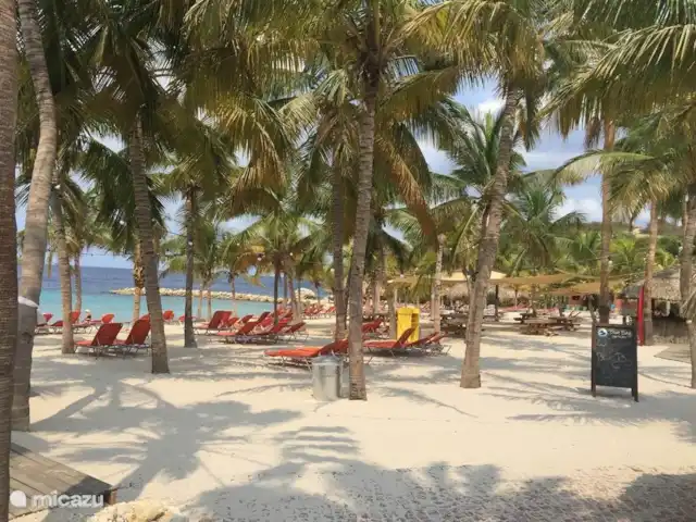 Villa Lora Julianadorp privé-zwembad huren in Curaçao, Curacao-Midden, Julianadorp - villa Het prachtige strand van Blue Bay Beach.
