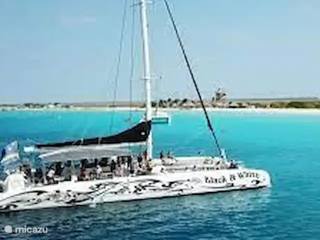 Villa Lora Julianadorp privé-zwembad huren in Curaçao, Curacao-Midden, Julianadorp - villa Je kunt ontzettend leuke tochten boeken, bijvoorbeeld naar Klein Curacao. Wij kunnen je daar bij helpen als je dat fijn vindt.