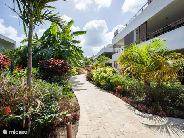 Jan Sofat LUX | Appartement A16 | Curaçao, Banda Ariba (est), Jan Sofat - appartement Le complexe dispose de beaux jardins bien entretenus.