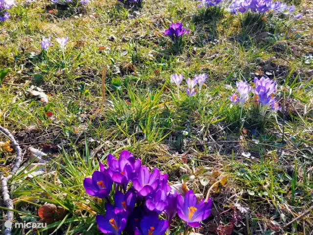 Villa Du Bonheur en Bélgica, Ardenas, Heure - villa Medio ambiente