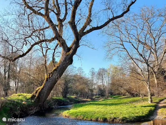 Villa Du Bonheur en Bélgica, Ardenas, Heure - villa Medio ambiente