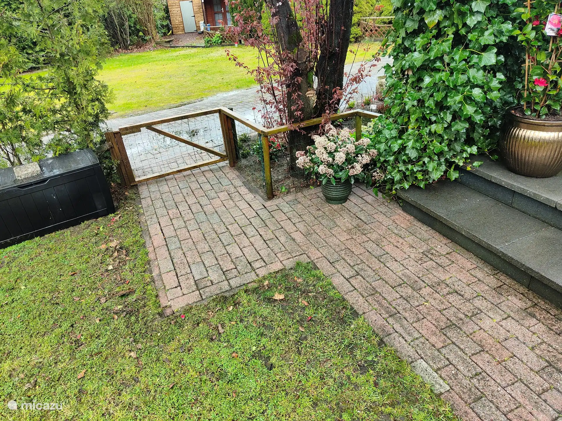 Es ist für die Hunde 