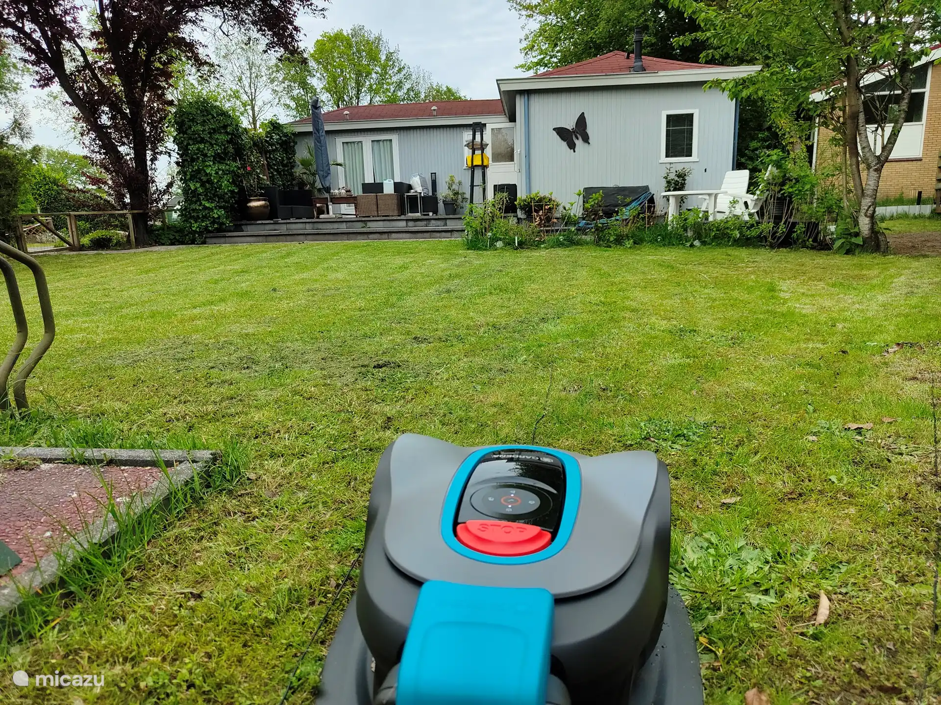 Großzügiger Garten mit Mähroboter 