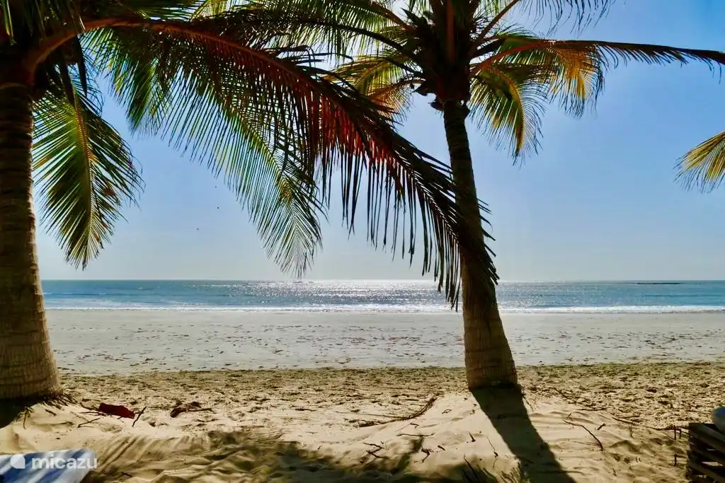 Black&amp;White Restaurant für ultimative Ruhe