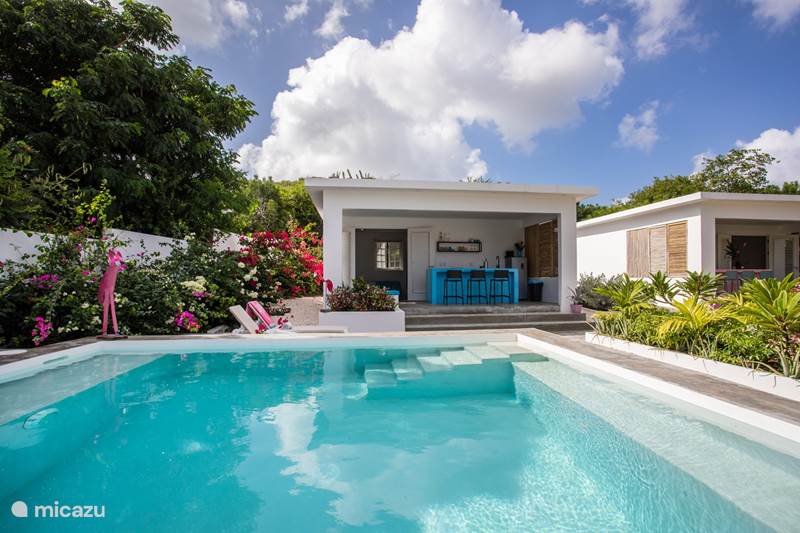 Vacation rental Curaçao, Curacao-Middle, Julianadorp Apartment Outdoor apartment | swimming pool | blue