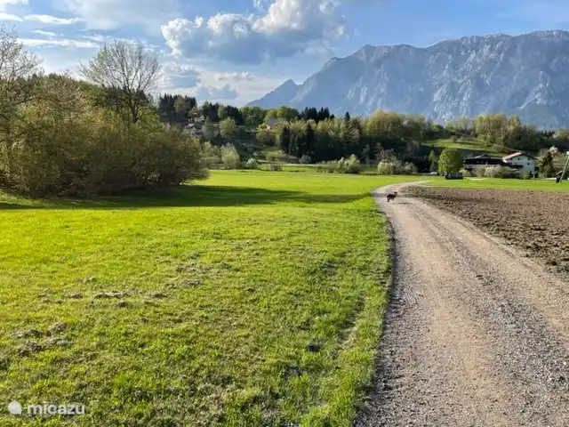 près de Seltschach au printemps