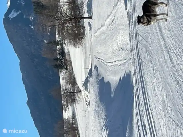 Piste de ski de fond de Seltschach