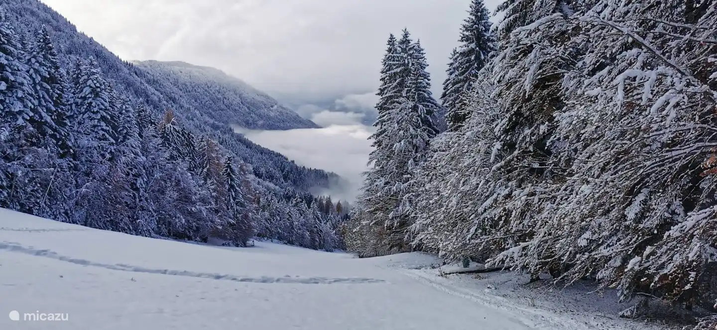 Paysage d'hiver vers Dreilandeck