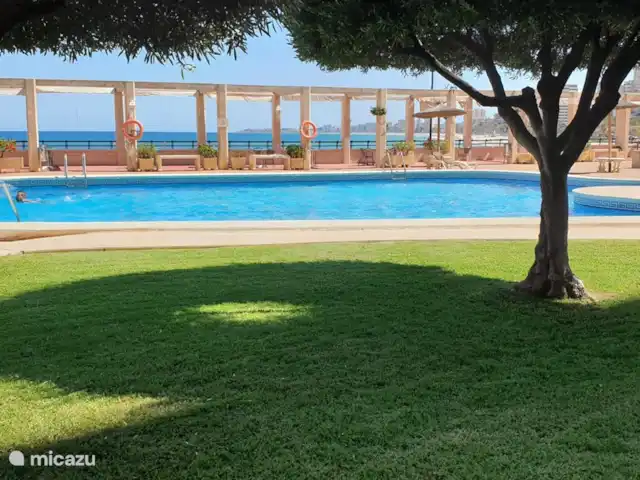 Casa Boa Vida | Espagne, Costa Blanca, El Campello - appartement La piscine