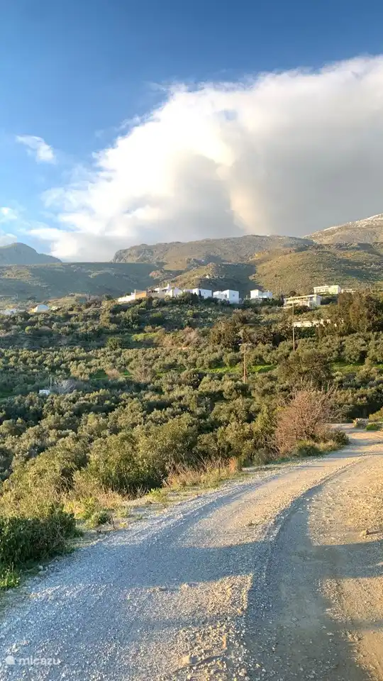 Die Villa Oikos liegt auf einem Bergrücken inmitten von Olivenhainen.