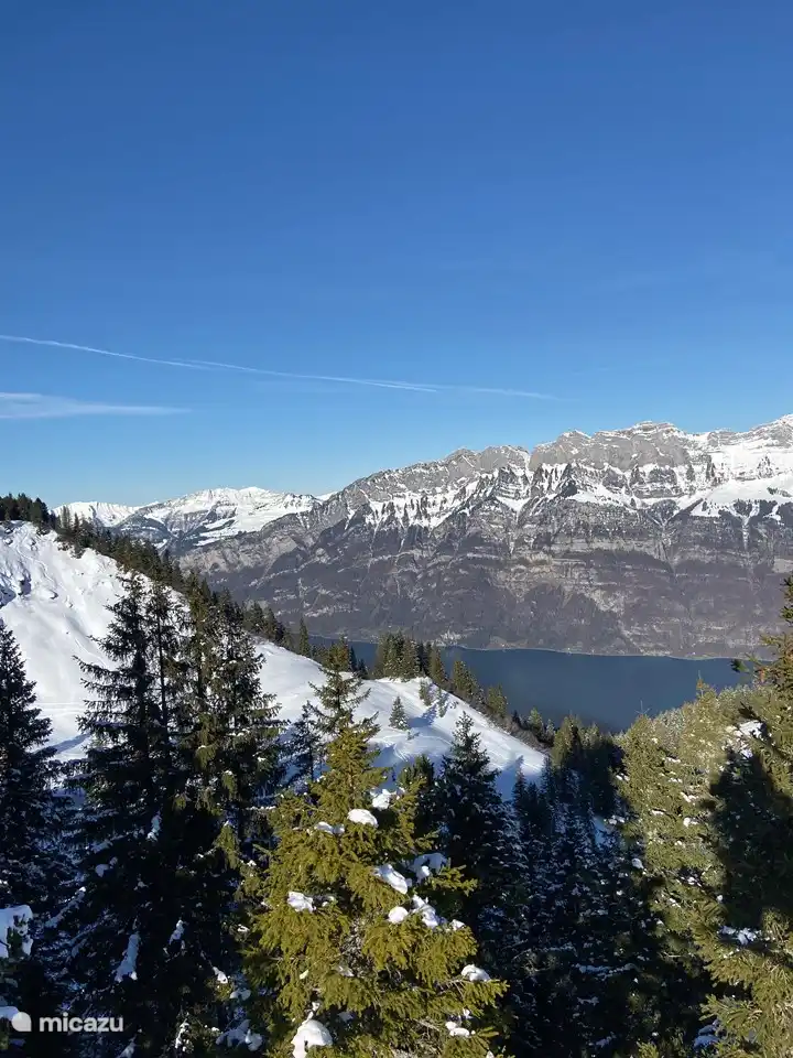 Walensee vanaf het skigebied, de Flumserberg