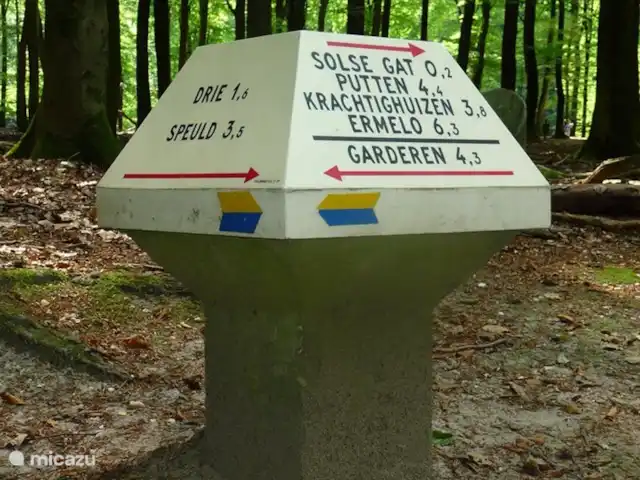 Chalet Putten en Países Bajos, Güeldres, Putten - chalet La zona boscosa tiene muchas oportunidades para andar en bicicleta y caminar.