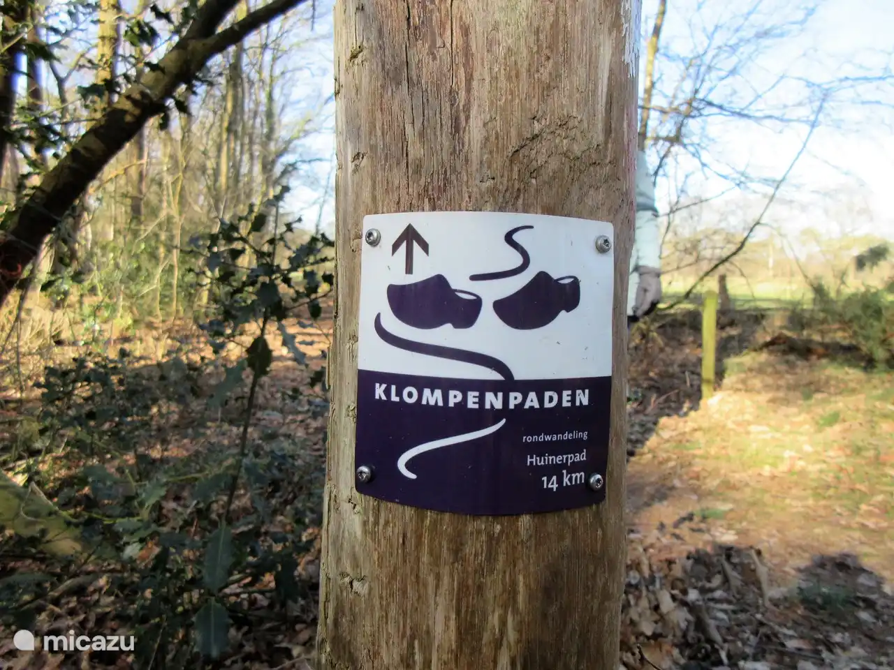 Neben Wäldern hat Putten auch eine schöne ländliche Umgebung mit Holzpfaden zu bieten.