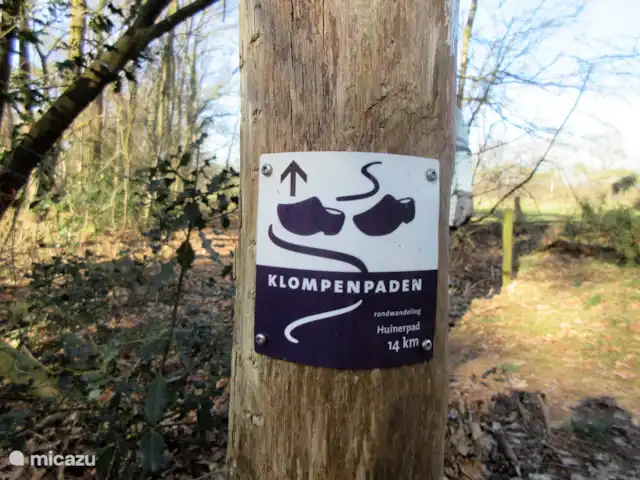 Chalet Putten en Países Bajos, Güeldres, Putten - chalet Además de los bosques, Putten también tiene un hermoso entorno rural con caminos obstruidos.