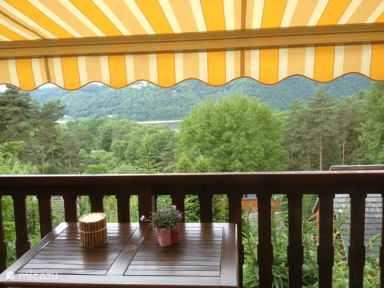 View from the terrace