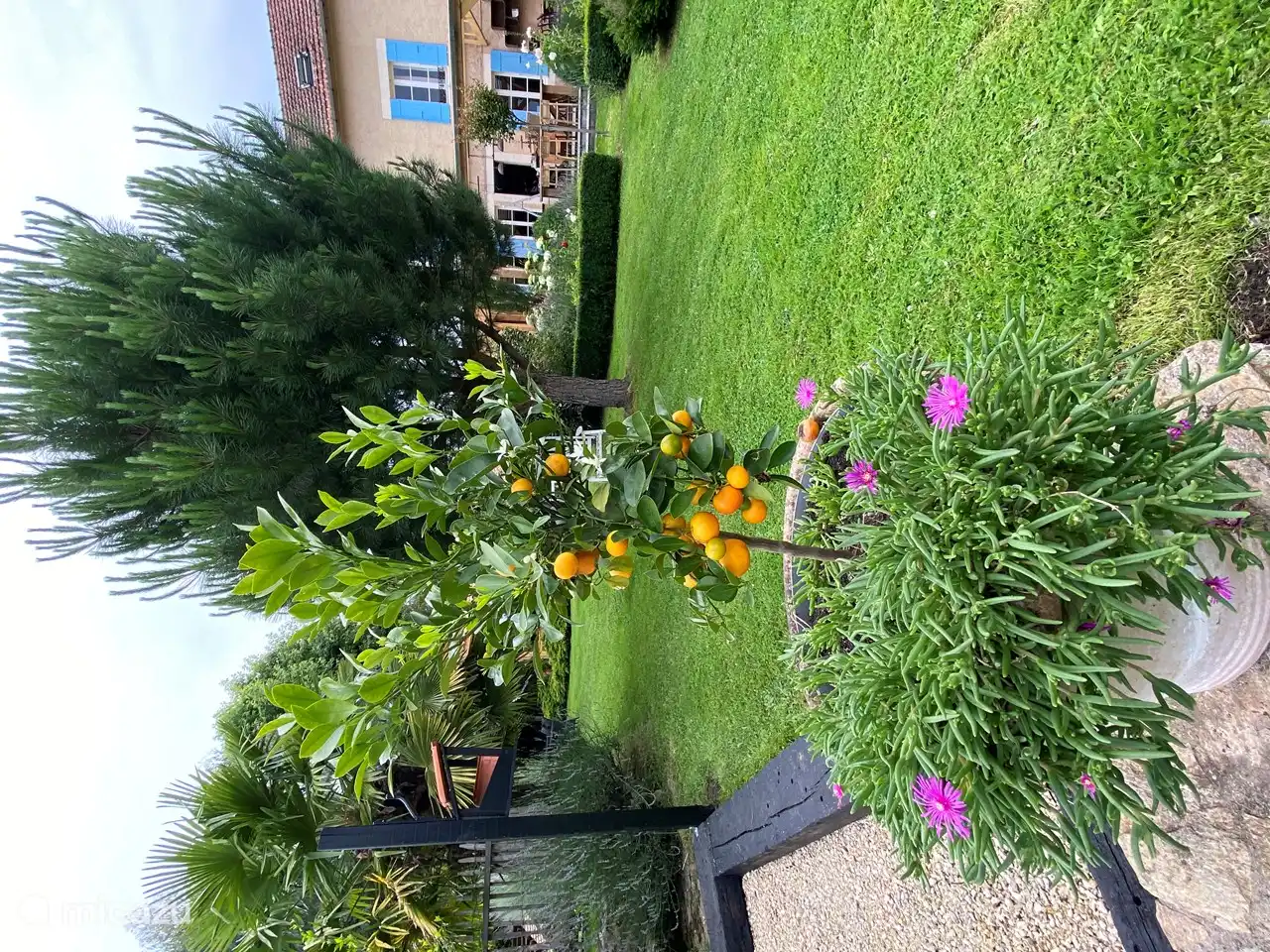 Coins atmosphériques avec des sièges dans tout le jardin