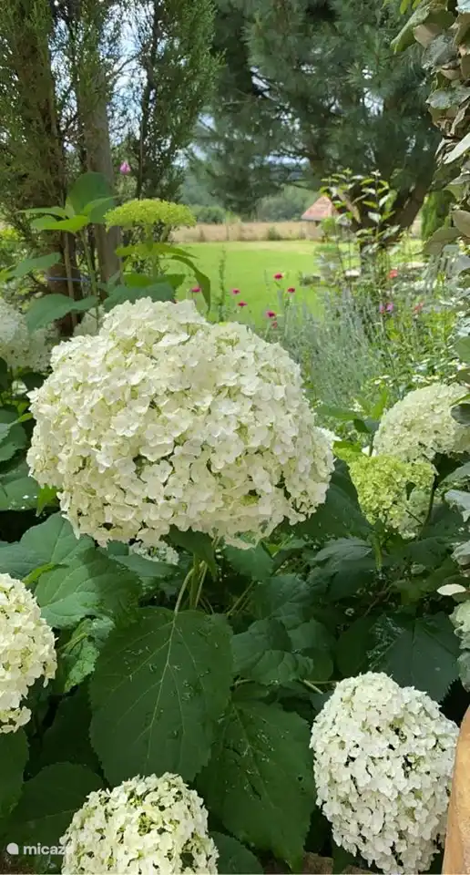 Domaine de Pamadera / Gite