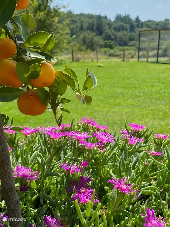 Belle nature au Domaine de Pamadera