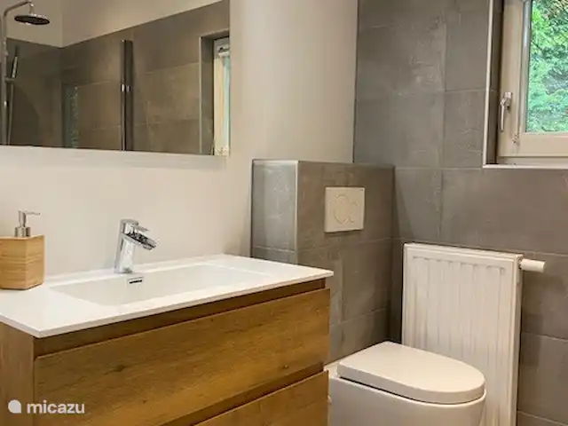 Les Boshuy | Pays-Bas, Drenthe, Koekange - maison de vacances Salle de bain luxueuse