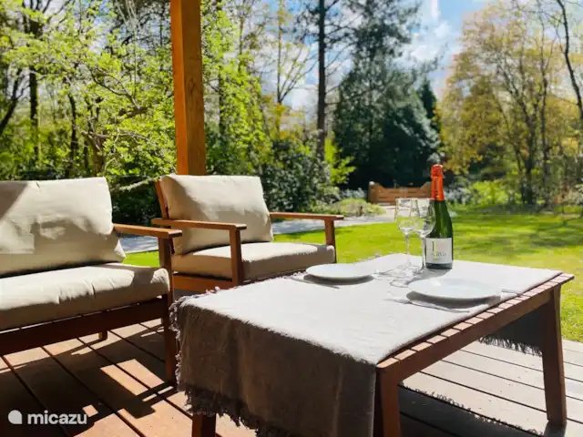Les Boshuy | Pays-Bas, Drenthe, Koekange - maison de vacances Photo du jardin clos