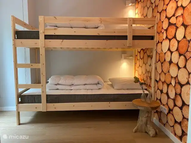 Les Boshuy | Pays-Bas, Drenthe, Koekange - maison de vacances Chambre 2