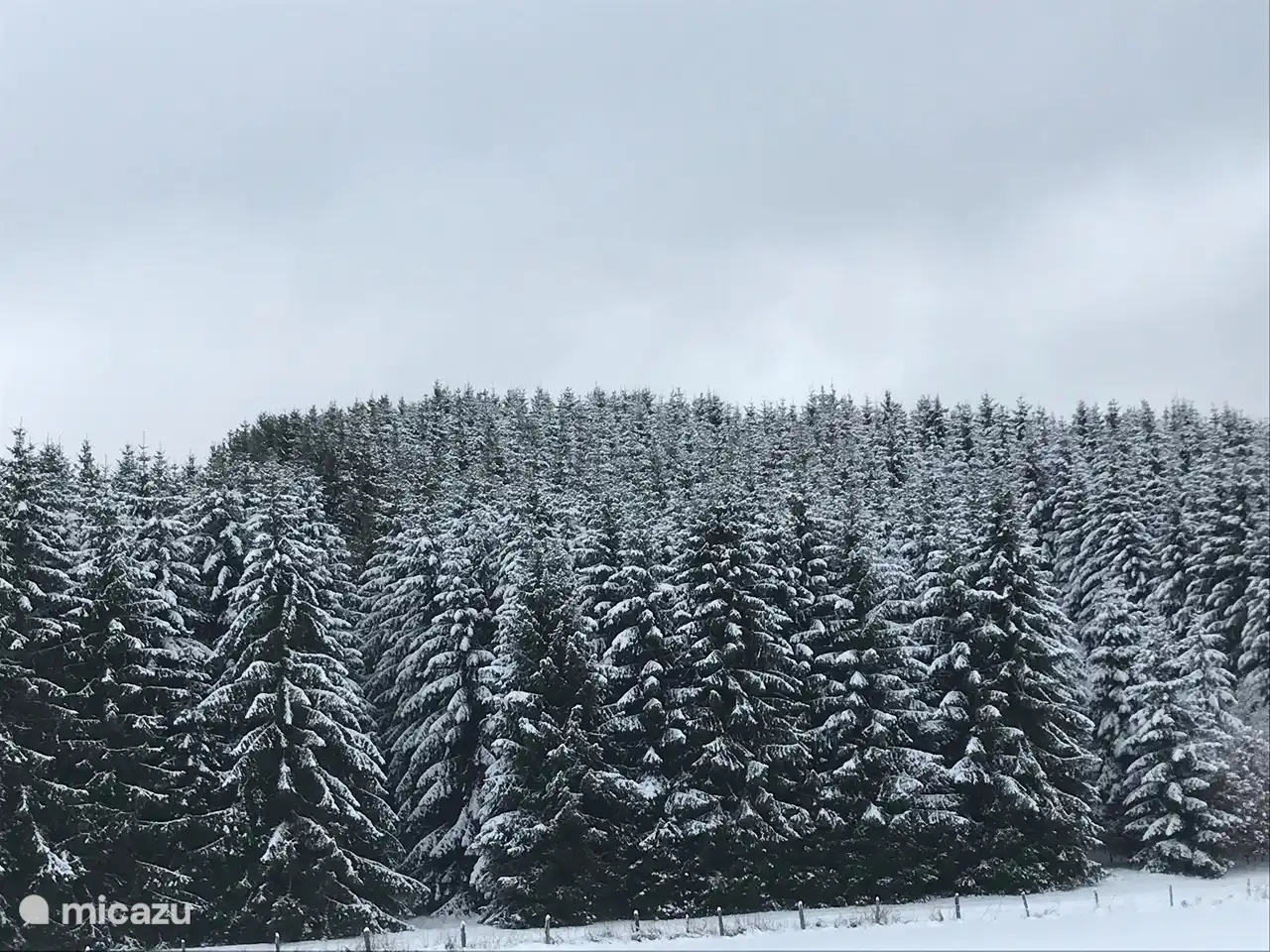 Auf dem Weg nach Winterberg.