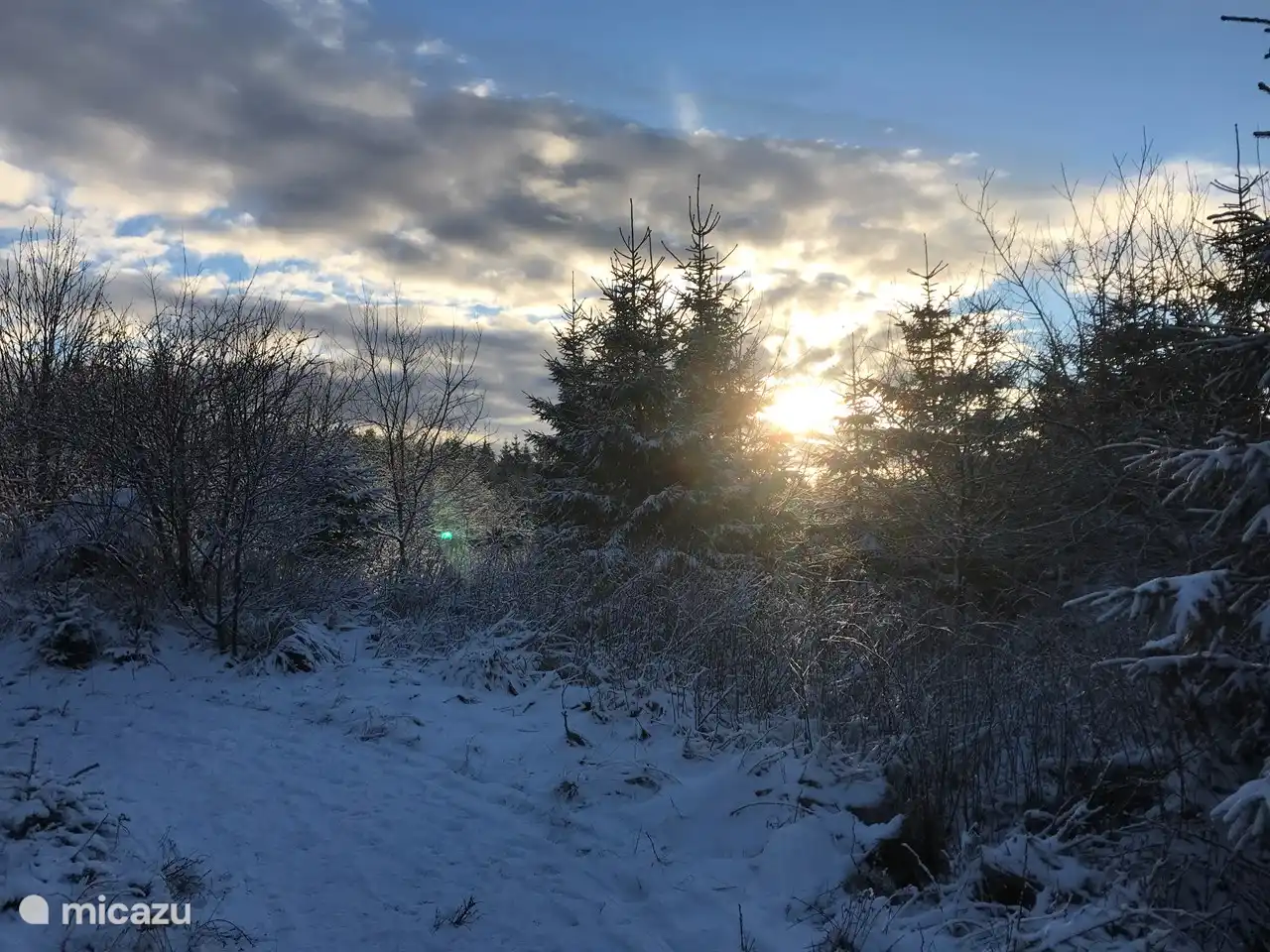Wanderung zur Hochheidehütte in Niedersfeld.