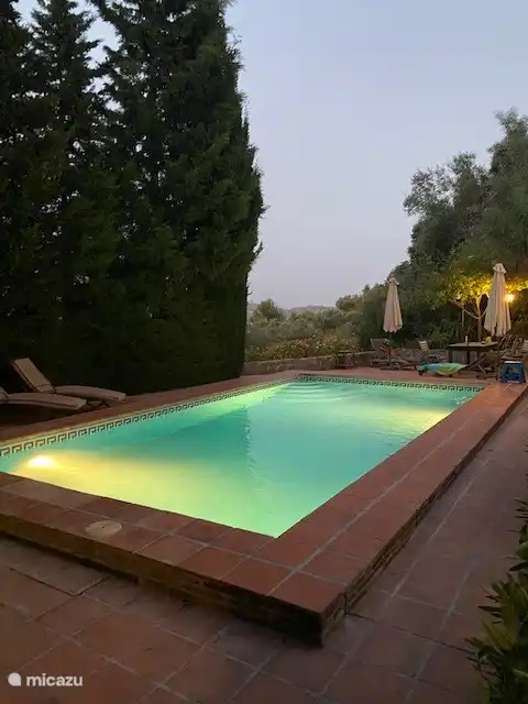 El Bosque, foto 3