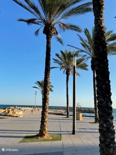 Boulevard Torrevieja
Distance 2-3 km de notre maison