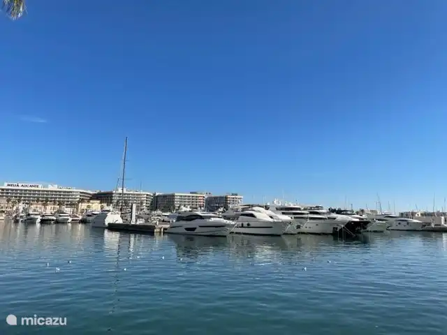 Port et ville d'Alicante
