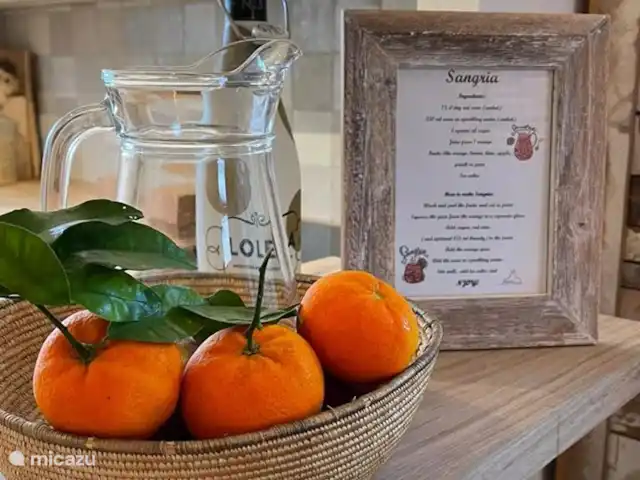 villa huren in Spanje, Costa Brava, Lloret de Mar – Villa Roca Brava zelf Sangria maken