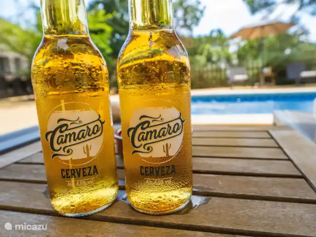 villa huren in Spanje, Costa Brava, Lloret de Mar – Villa Roca Brava Cheers!