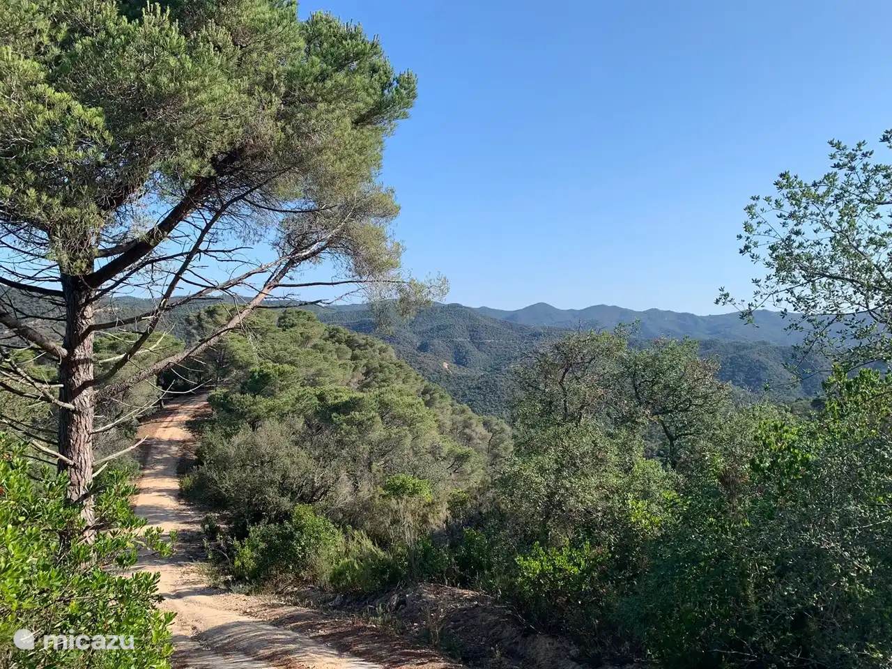 Caminando en la naturaleza adyacente a Villa Roca Brava
