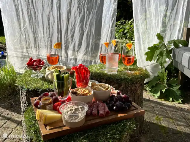 Le renard de la forêt | Pays-Bas, Gueldre, Wells - maison de vacances Charmant coin boisson dans le jardin