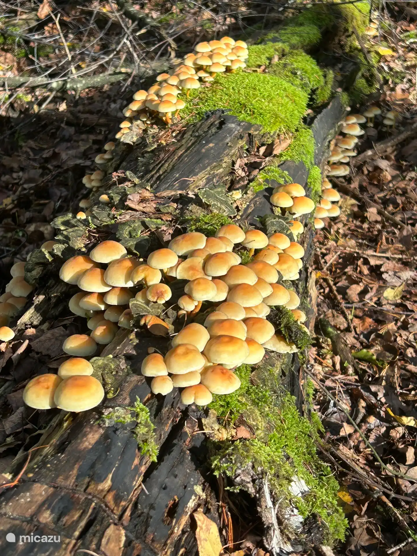 Herrliche Umgebung auch im Herbst