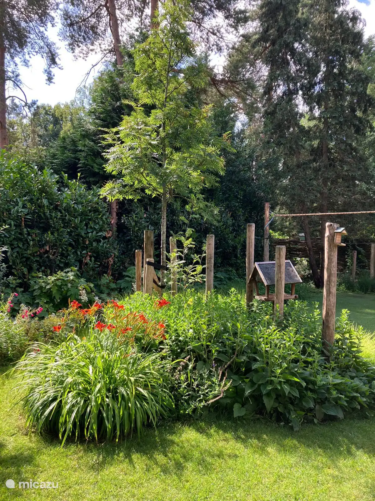De Bosvos huren in Nederland, Gelderland, Putten - Vakantiehuis