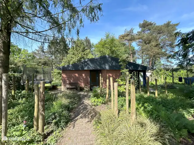 Le renard de la forêt | Pays-Bas, Gueldre, Wells - maison de vacances Avec trampoline
